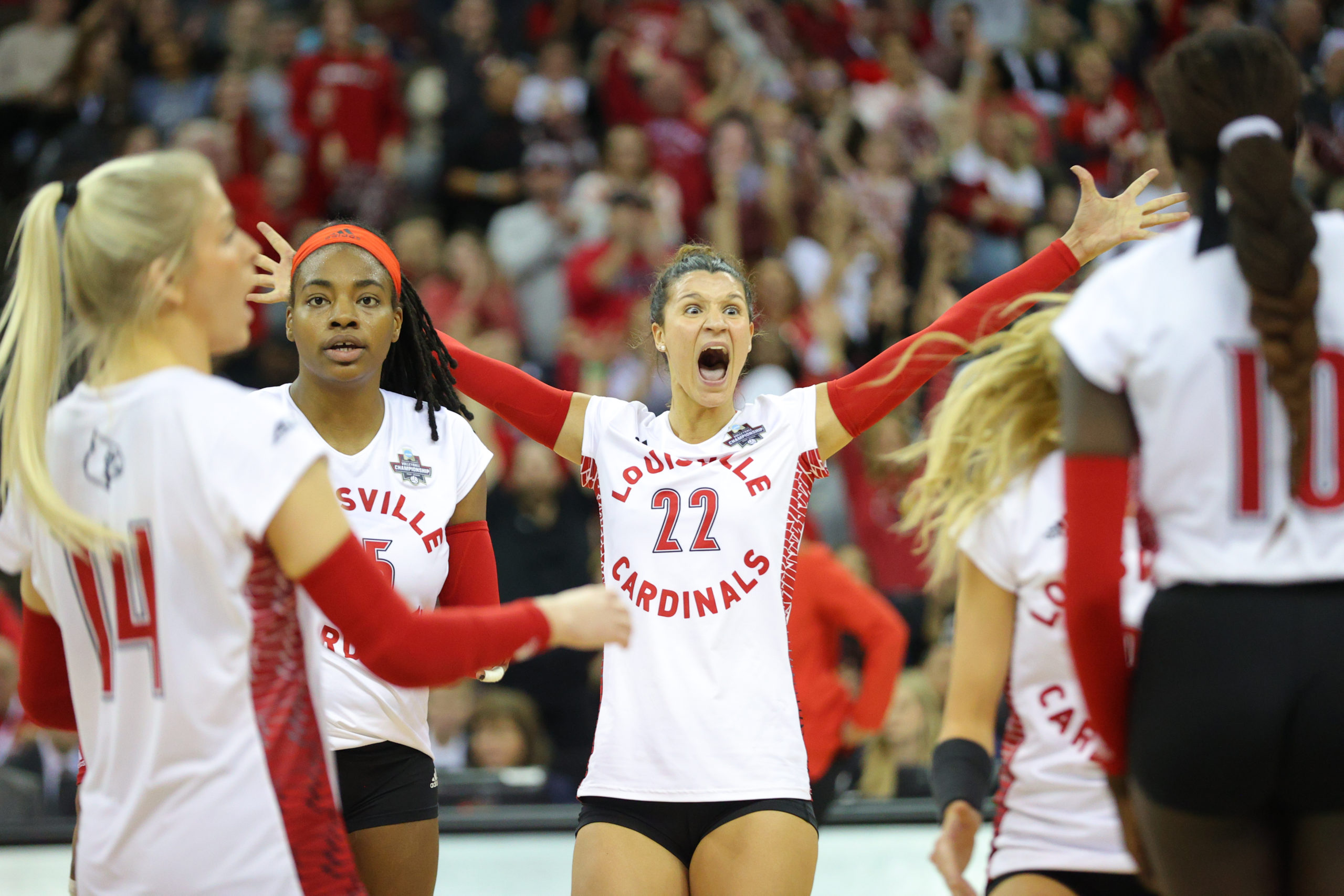 Louisville Volleyball Could Make History In NCAA Title Match - Just ...