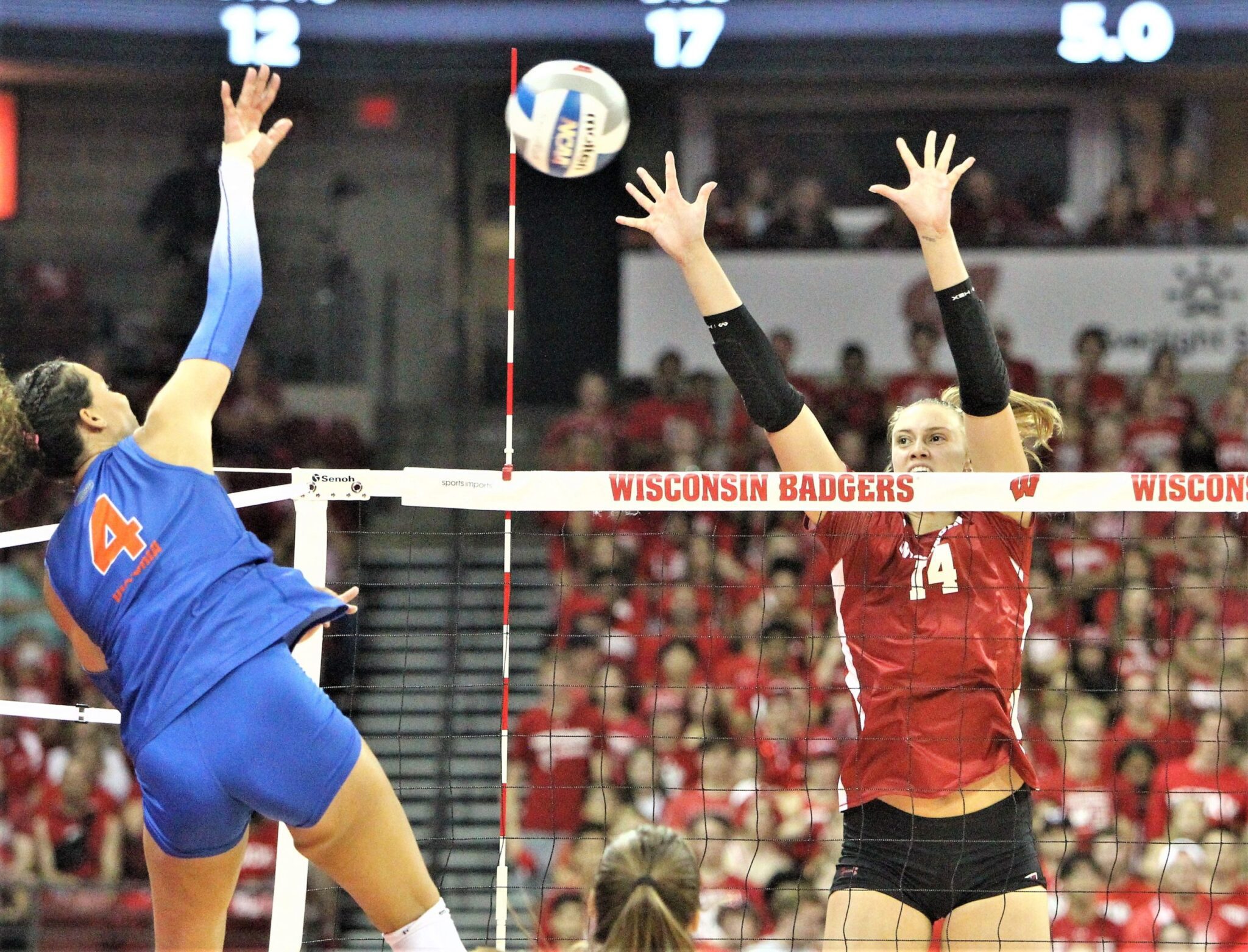Columbus Investigation: Uw Volleyball Twitter Leak - ylmvo9n